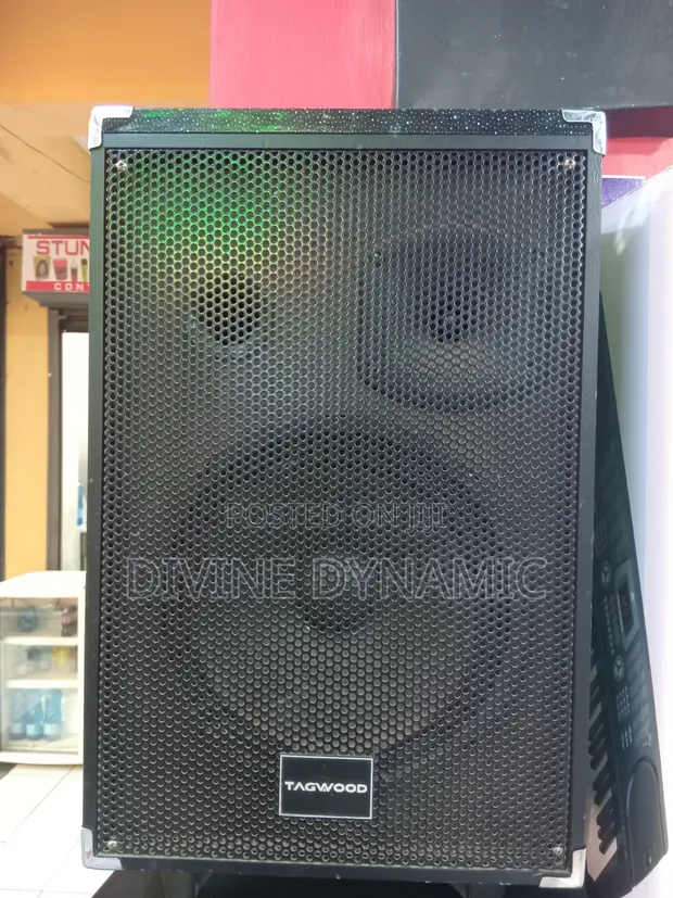 Tagwood 15-Inch Mid Speaker - 1