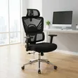 Brand New Ergonomic Orthopedic Office Chair - 1