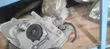 Toyota Duet 2005 Headlight - 2