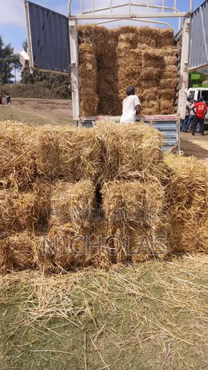 Boma Rhodes, Barley Straws, Wheat Straws, Star Grass Available