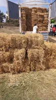 Boma Rhodes, Barley Straws, Wheat Straws, Star Grass Available - 1