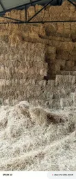 Boma Rhodes, Barley Straws, Wheat Straws, Star Grass Available - 2
