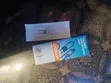Optic Halogen Capsule Bulb, 6V, 20W - 2