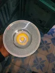 d.light 18W LED Spotlight Bulb (PAR38) - 2