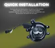 High Power Dual Laser 3 Color Fog Lights - 2