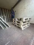 Plywood Pallets - 1
