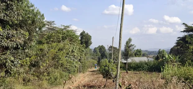 100x100 Residential Plot for Sale - Kikuyu, Kamangu - 1