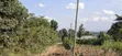 100x100 Residential Plot for Sale - Kikuyu, Kamangu - 1