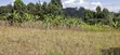 100x100 Residential Plot for Sale - Kikuyu, Kamangu - 2
