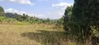100x100 Residential Plot for Sale - Kikuyu, Kamangu - 4