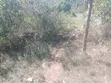 Nusu Eka Ardhi Inauzwa Nyakach - 5