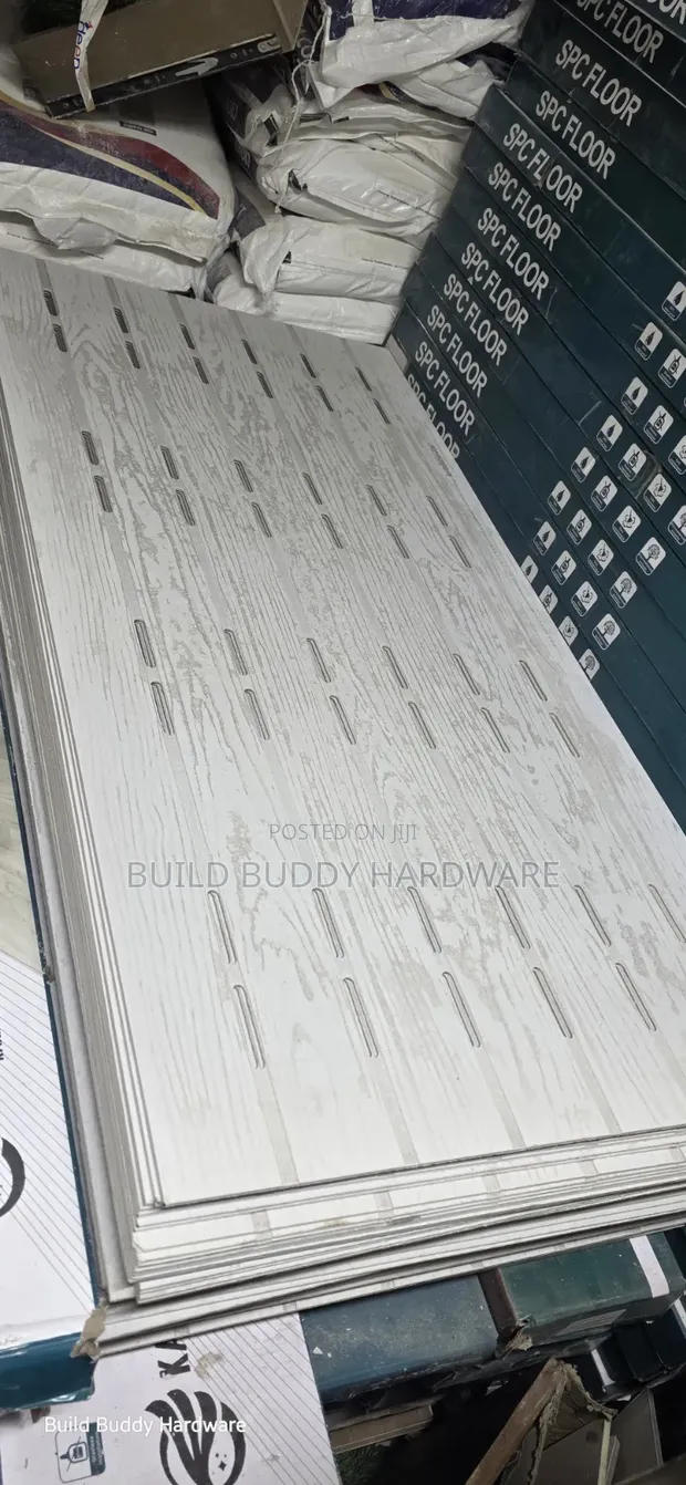 Eave Vent Ceiling - 1