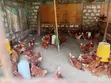 Kenchik Layers - 90 Birds - 1
