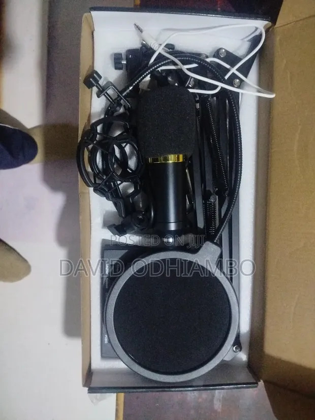 Legend Condenser Microphone - 1