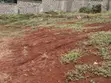 Eneo la Kibiashara la Eka 1 Karen Linalouzwa - Tree Lane - 1