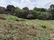 Eneo la Kibiashara la Eka 1 Karen Linalouzwa - Tree Lane - 2