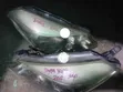 Used Toyota Vitz Headlights (2012) - 1
