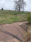 Hekta 100 za Kilimo Baolala - 1