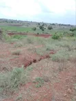Hekta 100 za Kilimo Baolala - 3