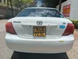 Toyota Axio 2009 White - 2
