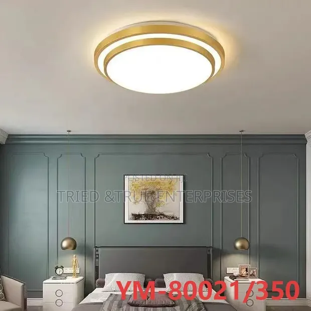 Unique XWDZ Ceiling Lights - Tri-Color - 1