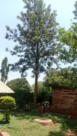 0.08 Ha Prime Land for Sale in Busia (Burumba) - 1