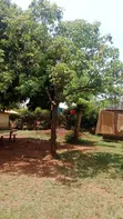 0.08 Ha Prime Land for Sale in Busia (Burumba) - 4