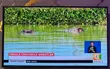 49' Used LG TV - 3