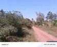1/4 Acre Plot for Sale in Ukunda - 2