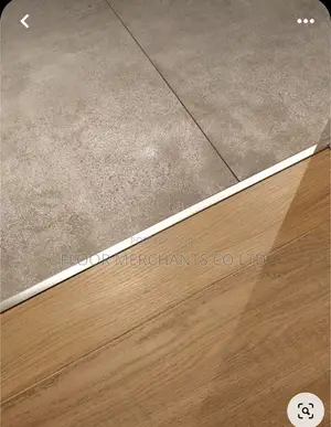 Floor Transition Strip