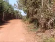 Half Acre Land for Sale in Marema, Makuyu - 1