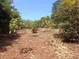 Half Acre Land for Sale in Marema, Makuyu - 3