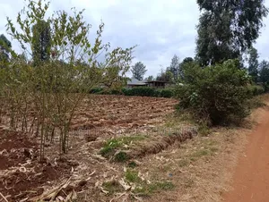 Kitalu cha Robo Eka Kinachouzwa Githingiri, Thika