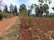 Kitalu cha Robo Eka Kinachouzwa Githingiri, Thika - 2