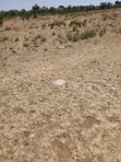 Kiwanja cha Makazi kwa Uuzaji - Pulung'a, Narok - 2