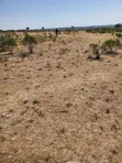 Kiwanja cha Makazi kwa Uuzaji - Pulung'a, Narok - 3