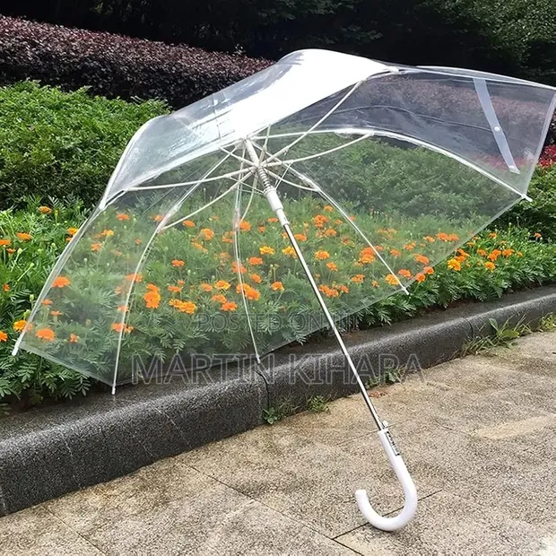 Transparent Umbrellas - Brand New - 1