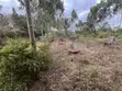 Strategic 3/4 Acre Land in Ongata Rongai, Maasai Lodge - 1