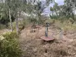 Strategic 3/4 Acre Land in Ongata Rongai, Maasai Lodge - 2