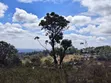 Eneo la Eka 1 Linauzwa Lemiso Road, Ngong - 1