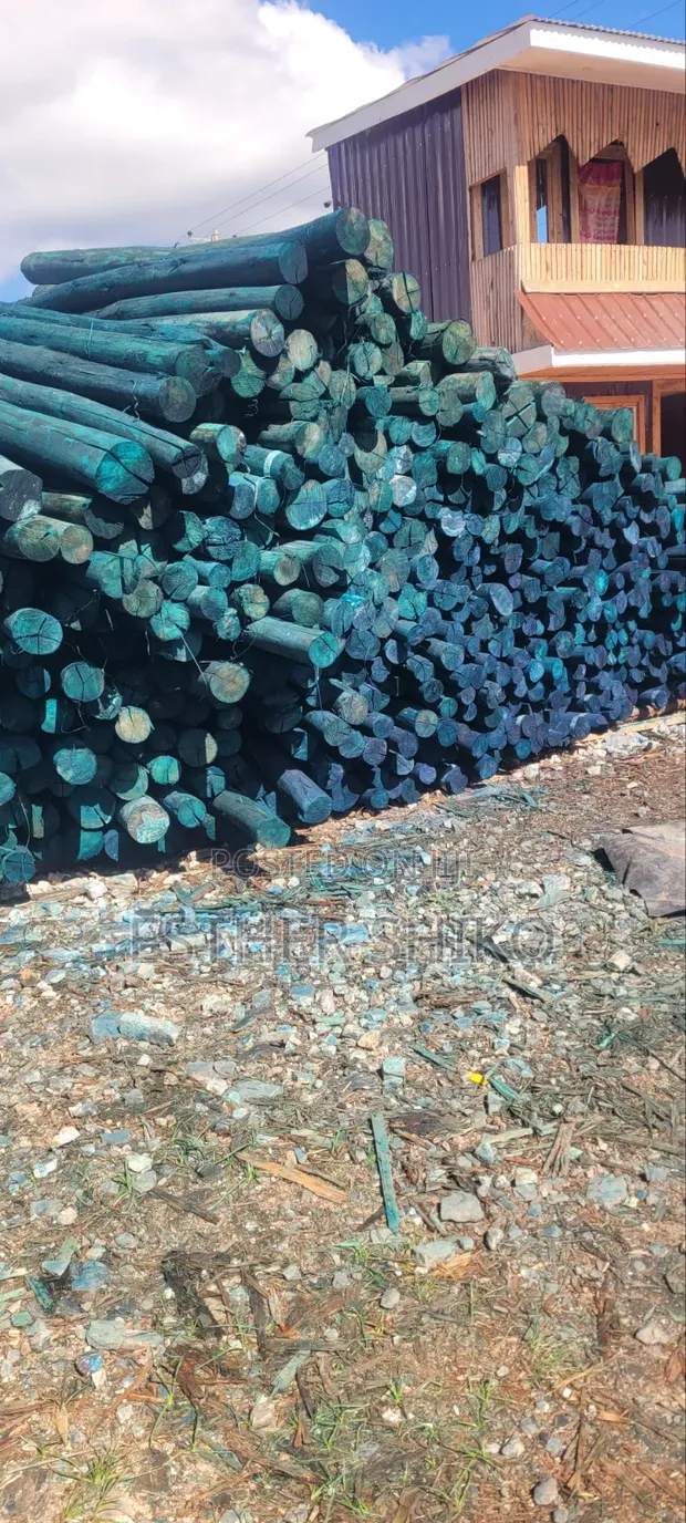 Timber Poles: Untreated & Treated, All Sizes - 1