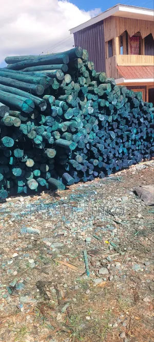 Timber Poles: Untreated & Treated, All Sizes