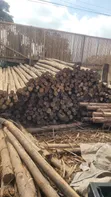 Timber Poles: Untreated & Treated, All Sizes - 3