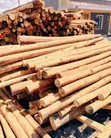 Timber Poles: Untreated & Treated, All Sizes - 4