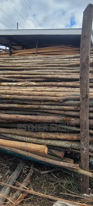 Round Poles - Standard Length