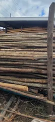 Round Poles - Standard Length - 1