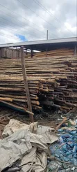 Round Poles - Standard Length - 2