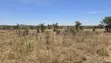 Eneo la Eka 2 za Prime kwa Uuzaji Lukenya - 2