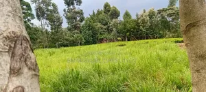 Land for Sale in Kapsoit, Kericho County