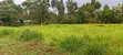 Land for Sale in Kapsoit, Kericho County - 2